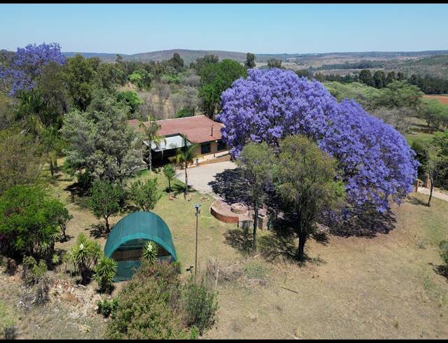 FARM FOR SALE IN DE WAGENSDRIFT AH